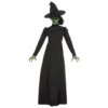 Ladiesc Wicked Witch Ladies Costume - Smiffys