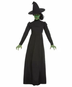 Ladiesc Wicked Witch Ladies Costume - Smiffys