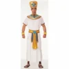 Forum Novelties Egyptian King Costume Mensc