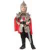 Tomfoolery Medieval Silver Knight Childs Costume Book Week