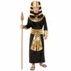 Tomfoolery Boys Egyptian Pharaoh Costume Boys Costumes