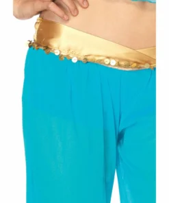 Tomfoolery Arabian Beauty Ladies Leg Avenue Costume