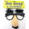 Allen Trading Big Nose And Glasses Accessoriesc