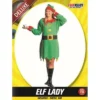 Allen Trading Lady Elf Costume