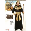 Tomfoolery Egyptian Pharaoh Mens Costume - Dr Toms