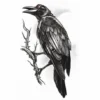 Carnival Products Tinsley Temp Tattoo - The Raven Tattoos