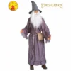 Gandalf The Grey - Hire