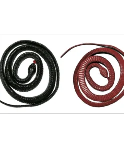 Jack In The Box Red-Bellied Black Snake