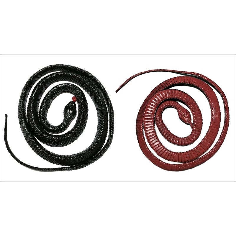 Jack In The Box Red-Bellied Black Snake 3 Jack In The Box Red-Bellied Black Snake