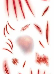 Carnival Products Tinsley FX Temp Tattoo - Mauled Accessoriesc