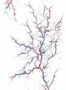 Carnival Products Tinsley FX Temp Tattoo - Possessed