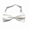 Carnival Products Satin Bow Tie - Assorted Colours