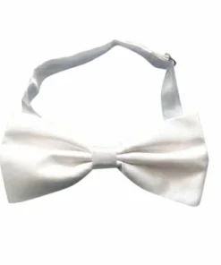 Carnival Products Satin Bow Tie - Assorted Colours