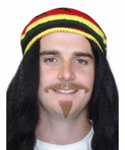 Carnival Products Facial Hair Moustache 2 Pc With Goatee