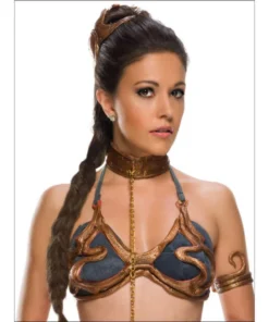 Rubie's Deerfield Princess Leia Secret Wishes Slave Costume - Adult Ladiesc