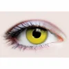 Tomfoolery Primal Costume Contact Lenses - Raven