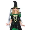 Tomfoolery Ladiesc Storybook Witch Ladies Costume - Leg Avenue