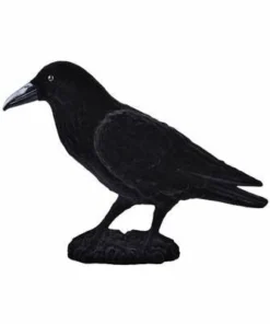 Tomfoolery Raven 18 X 30 Cm Props
