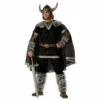 Viking Warrior - Hire
