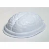 Forum Novelties Halloweenc Brain Mold 2 Pack