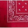 JD Party Accessoriesc Red Paisley Cowboy Bandana