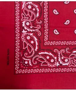 JD Party Accessoriesc Red Paisley Cowboy Bandana