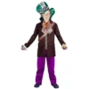 Interalia Group Boys Costumes Crazy Hatter Costume - Boys