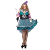 Book Weekc Crazy Hatter Ladies Costume - Hire