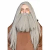 Interalia Group Grey Wizard Wig And Beard Set Facial Hair