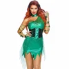 Tomfoolery Ladiesc Irresistible Ivy Villain Ladies Costume - Leg Avenue