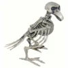 Tomfoolery Skeleton Bird Halloween Decor Halloweenc