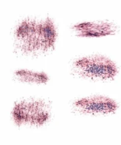 Carnival Products Tattoos Tinsley FX Temp Tattoo - Hickie