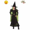 Rubie's Deerfield Girls Costumes Wicked Witch Of The West Deluxe Costume - Child 2 Rubie's Deerfield Girls Costumes Wicked Witch Of The West Deluxe Costume - Child