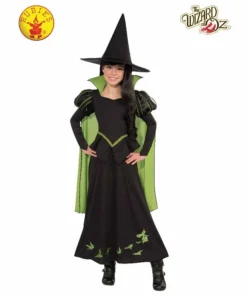 Rubie's Deerfield Girls Costumes Wicked Witch Of The West Deluxe Costume - Child